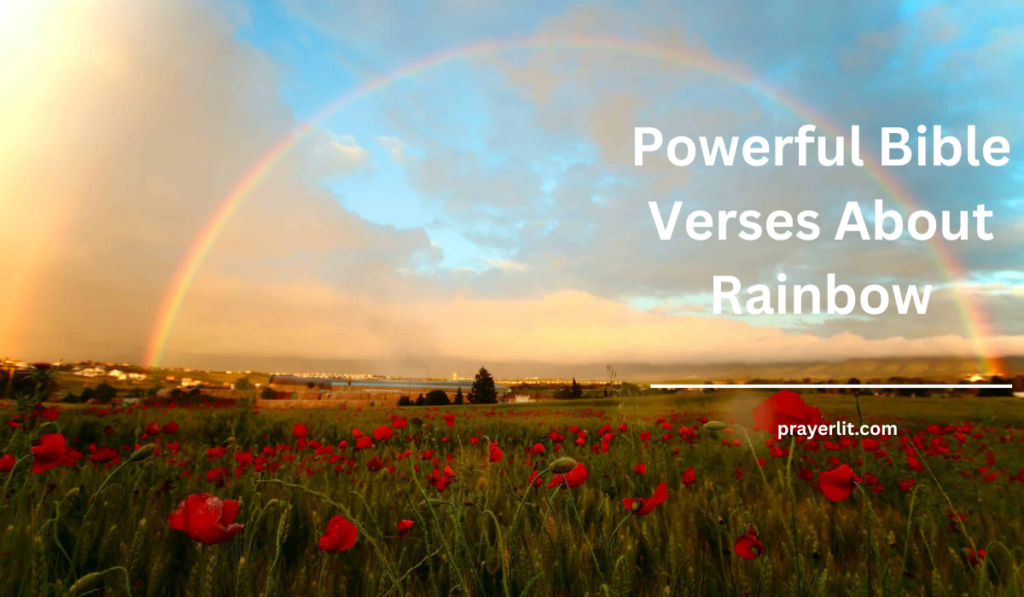 Bible Verses About Rainbow