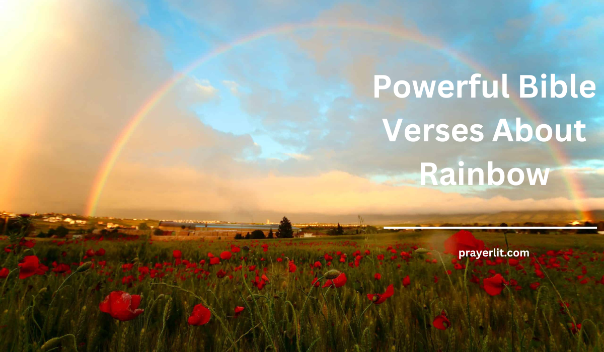 Bible Verses About Rainbow