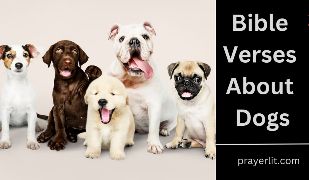 30 Powerful Bible Verses About Dogs - PrayerLit