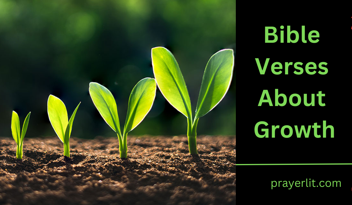  Bible Verses About Growth