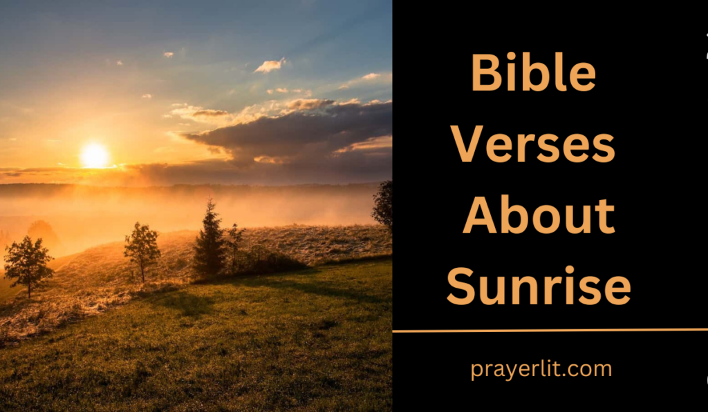 Bible Verses About Sunrise