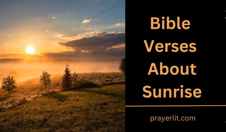 30 Powerful Bible Verses About Sunrise (2026) - PrayerLit