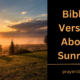 Bible Verses About Sunrise