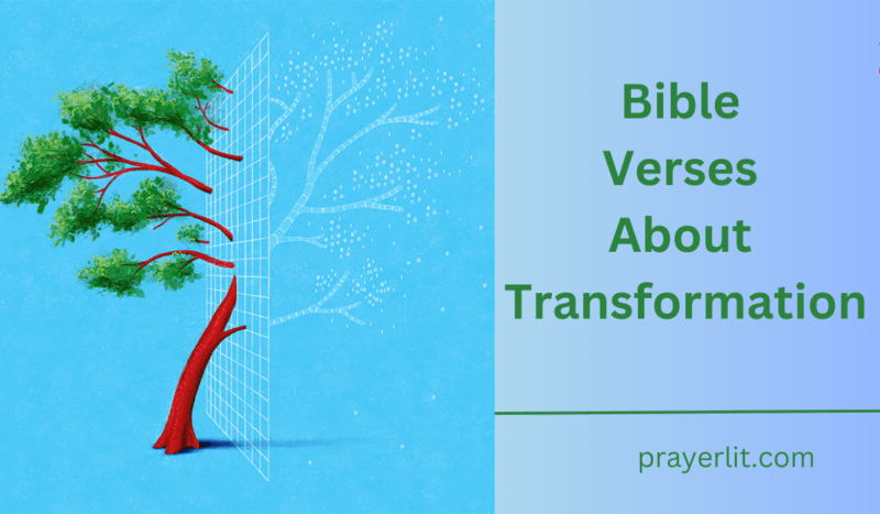 30 Powerful Bible Verses About Transformation (2026) - PrayerLit
