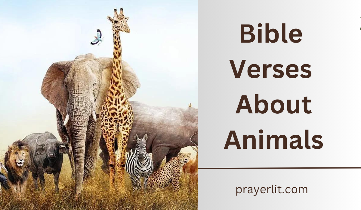 Bible Verses About Animals