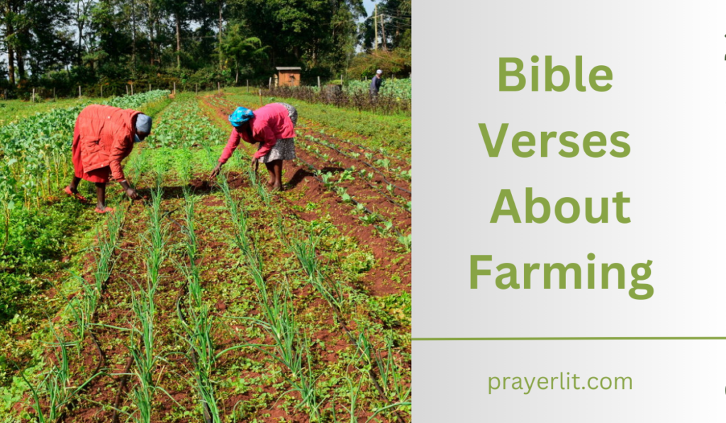 Bible Verses About Farming