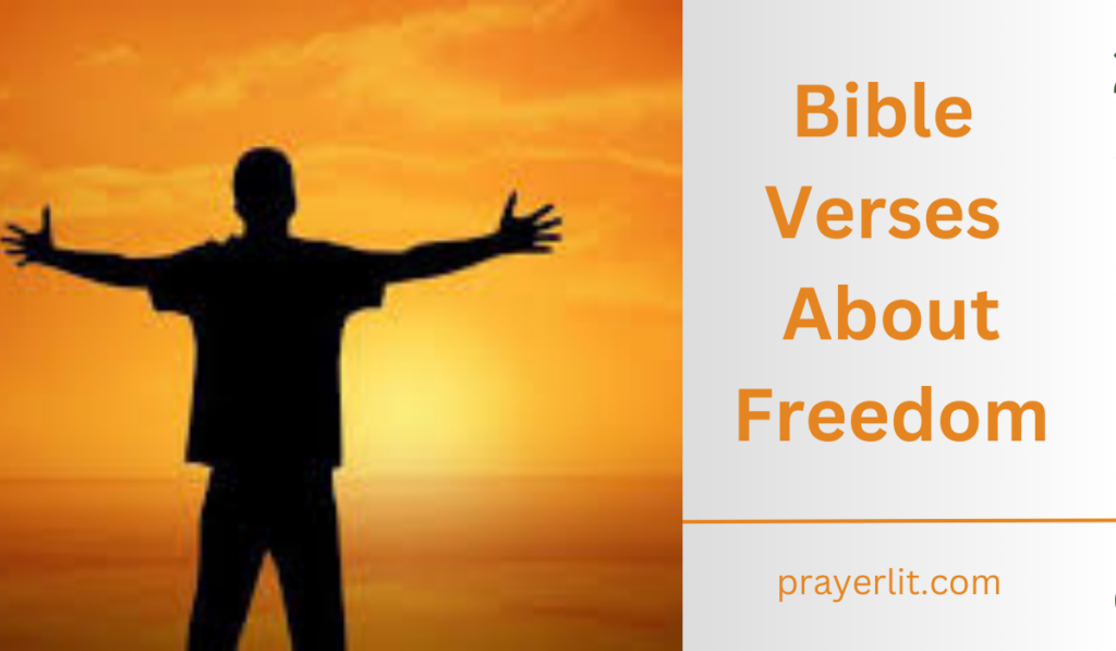 Bible Verses About Freedom