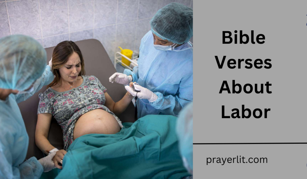 Bible Verses About Labor