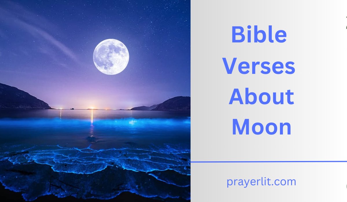 30 Powerful Bible Verses About Moon (2025) - PrayerLit