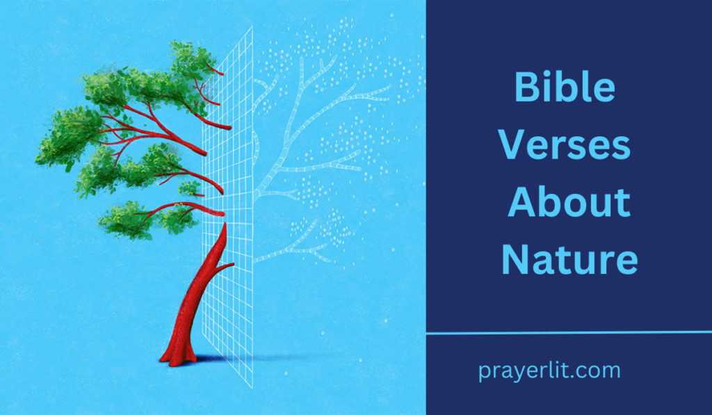 Bible Verses About Nature