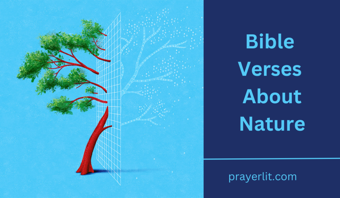 30 Most Beautiful Bible Verses About Nature 2025 PrayerLit 30 Most Beautiful Bible Verses About Nature 2025 PrayerLit