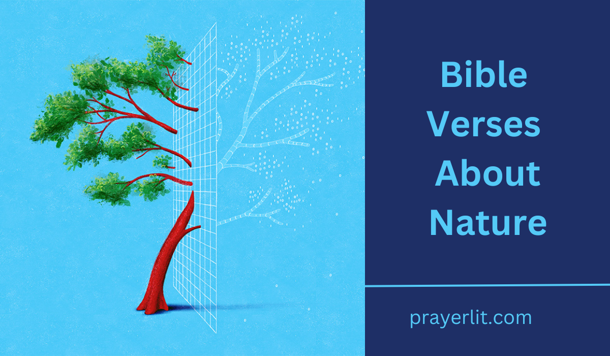  Bible Verses About Nature