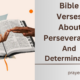 Bible Verses About Perseverance And Determination