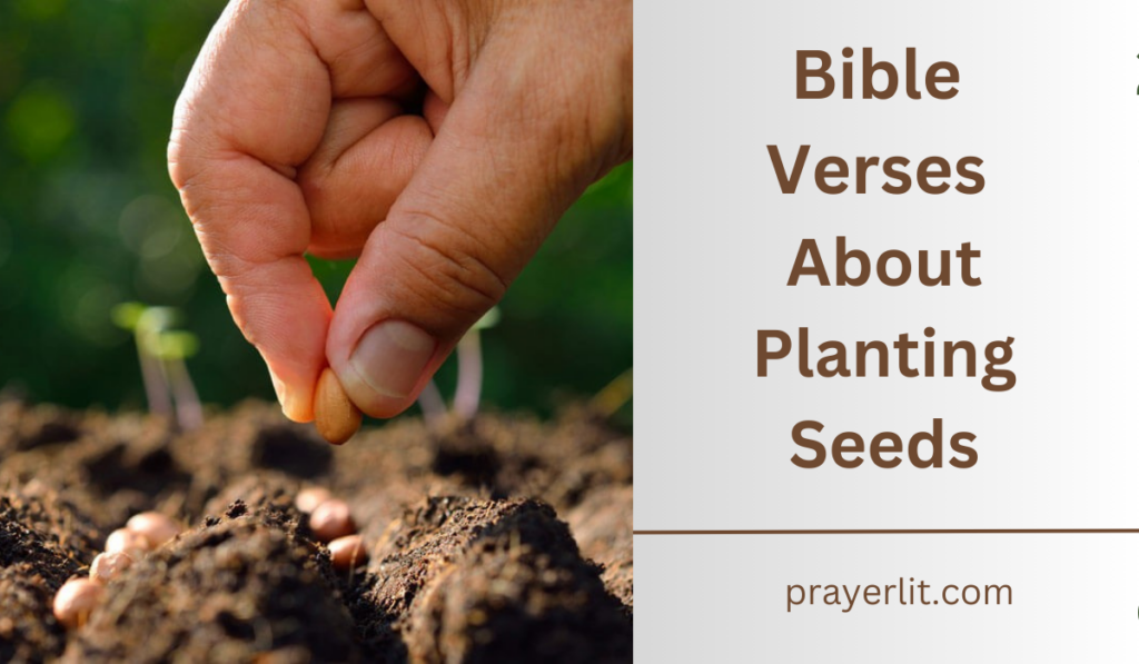 Bible Verses About Planting Seeds