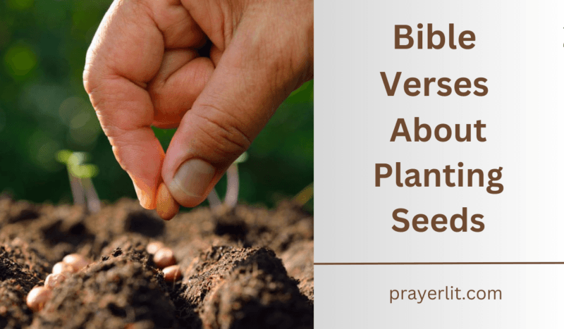 30 Beautiful Bible Verses About Planting Seeds (2026) - PrayerLit