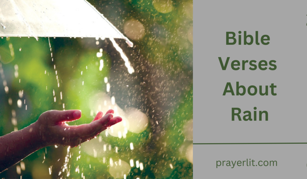 Bible Verses About Rain