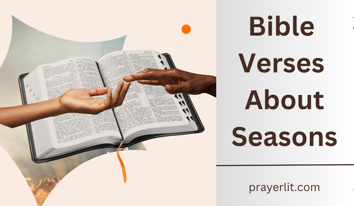 Bible Verses About Seasons