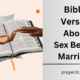 Bible Verses About Sex Before Marriage