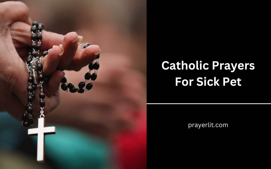 Catholic Prayers For Sick Pet