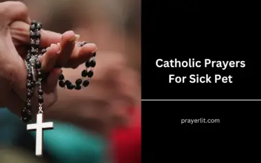 27 Amazing Catholic Prayers For Sick Pet (2025) - PrayerLit