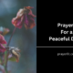 Prayers For a Peaceful Death