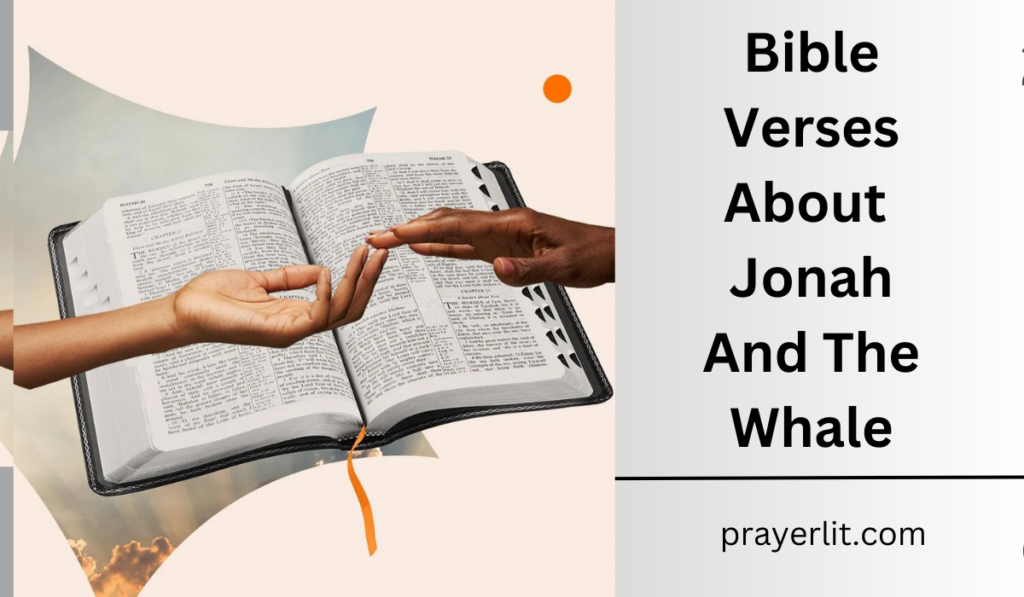 Bible Verses About Jonah And The Whale