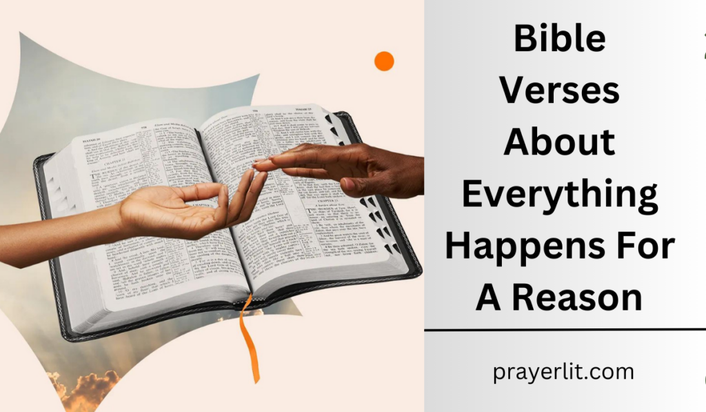 Bible Verses About Everything Happens For A Reason