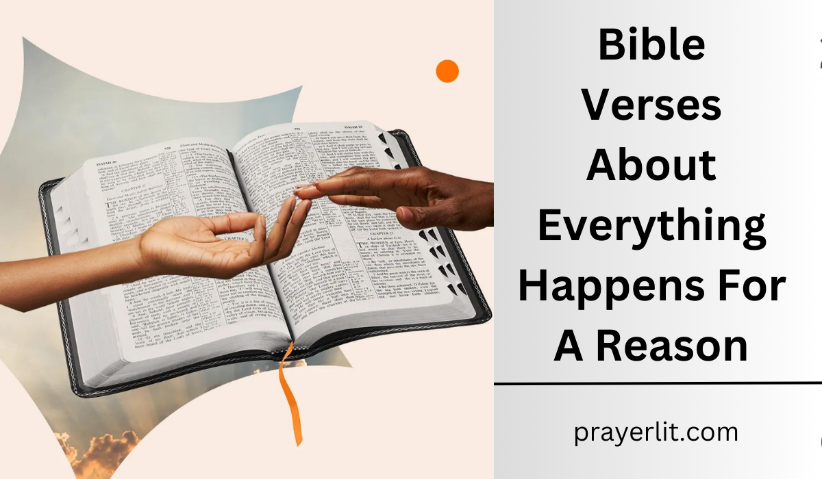  Bible Verses About Everything Happens For A Reason