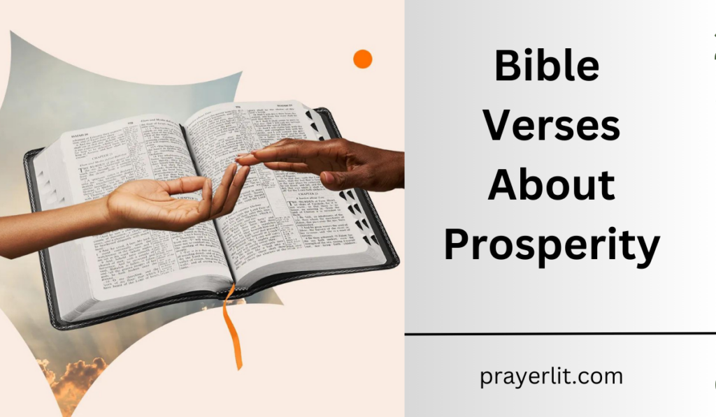 Bible Verses About Prosperity