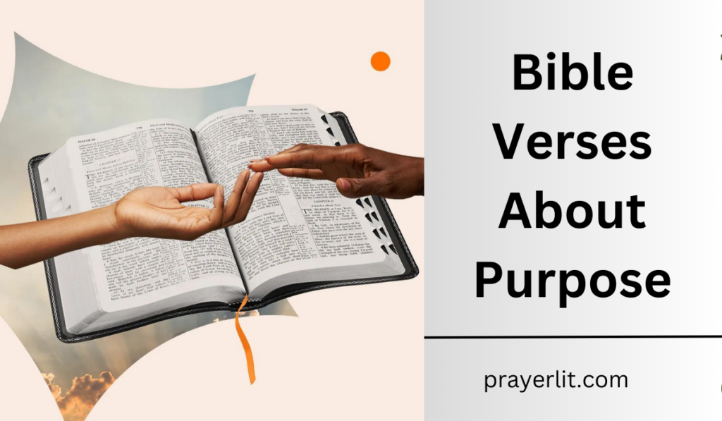 Bible Verses About Purpose