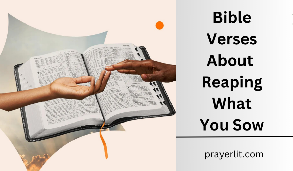 30 Powerful Bible Verses About Reaping What You Sow (2024) PrayerLit