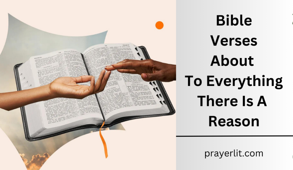 Bible Verses About To Everything There Is A Reason