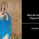 Why do Catholics Pray to Mary