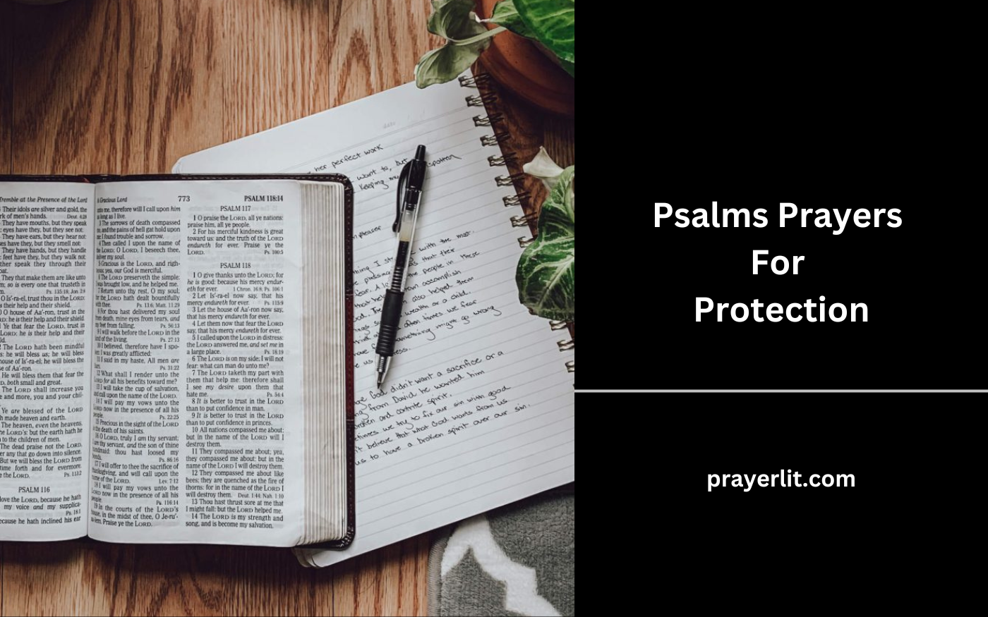 Psalms Prayers For Protection