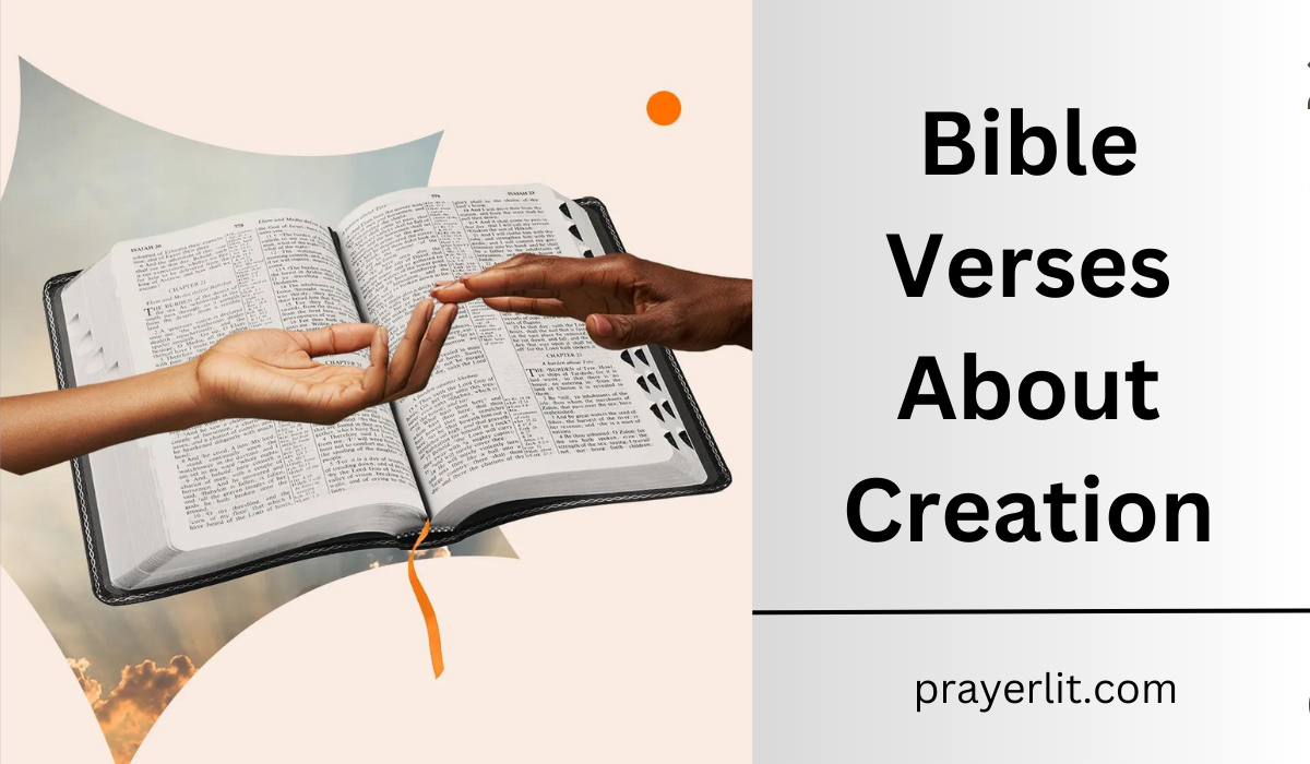  Bible Verses About Creation