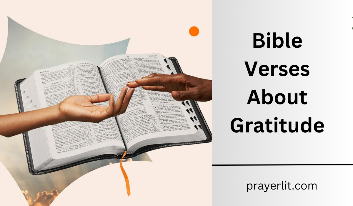  Bible Verses About Gratitude