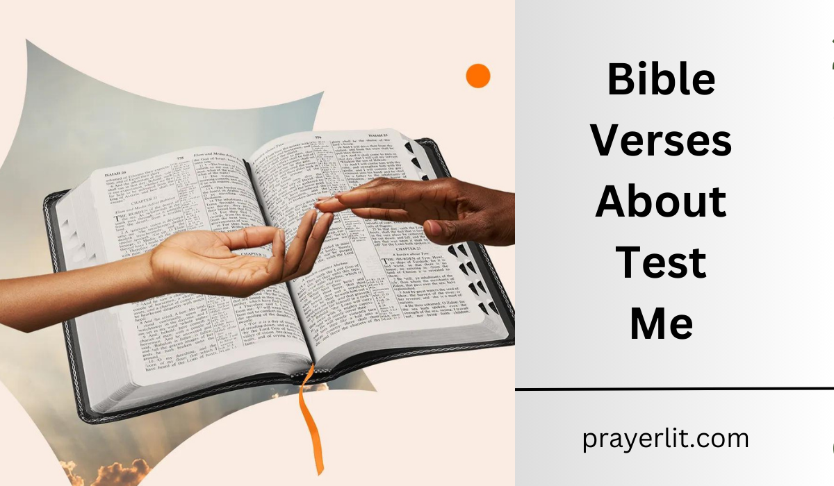 Bible Verses About Test Me