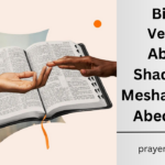 Bible Verses About Shadrach, Meshach and Abednego