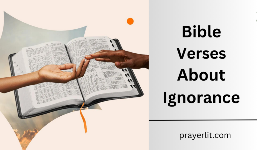 Bible Verses About Ignorance