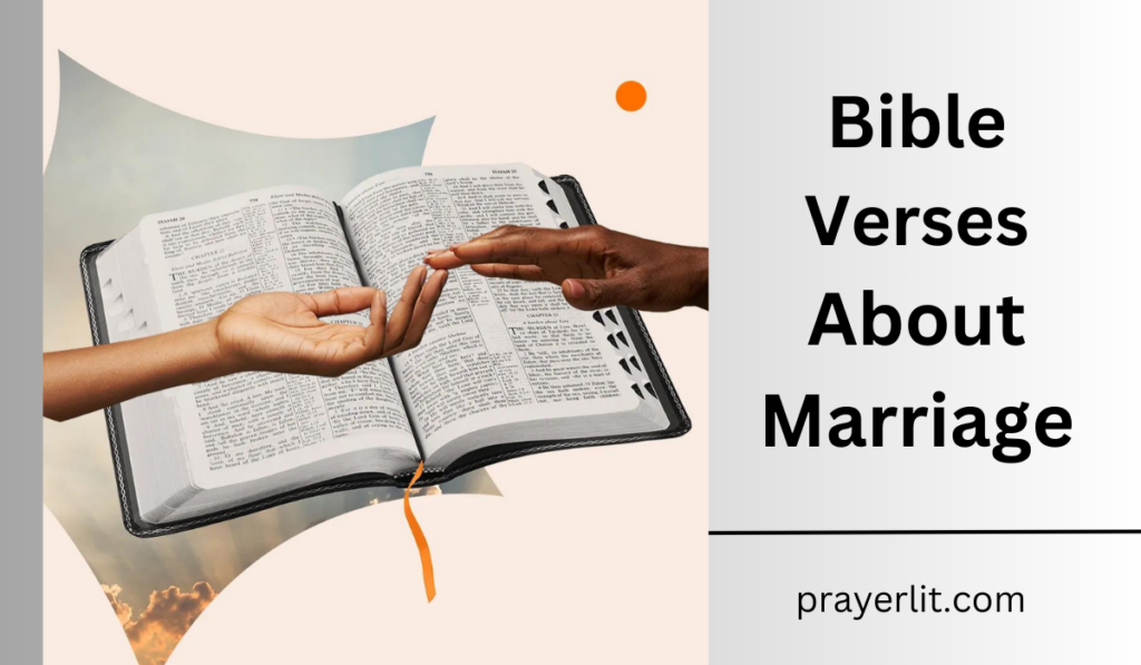 Bible Verses About Marriage