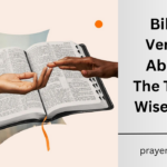 Bible Verses About The Three Wise Men