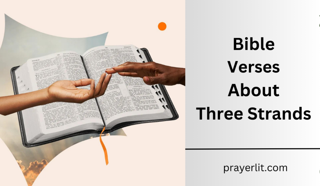 Bible Verses About Three Strands