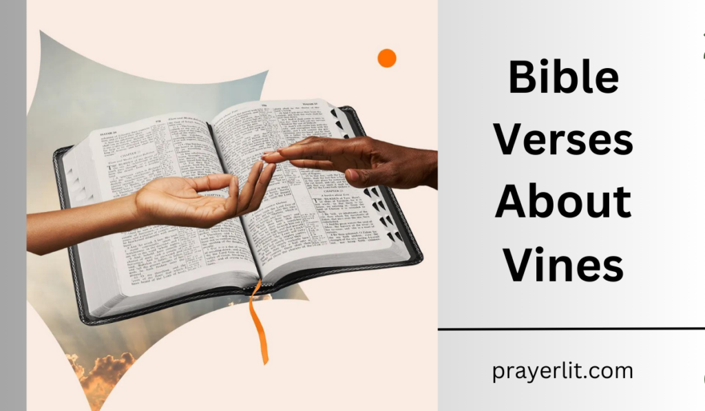 Bible Verses About Vines