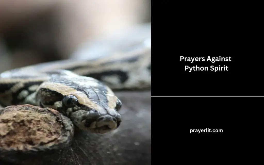 Prayers Against Python Spirit