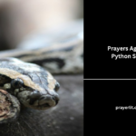 Prayers Against Python Spirit