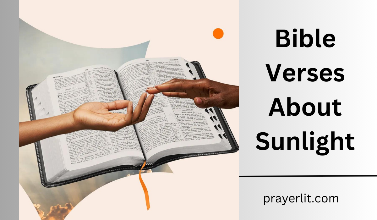 Bible Verses About Sunlight