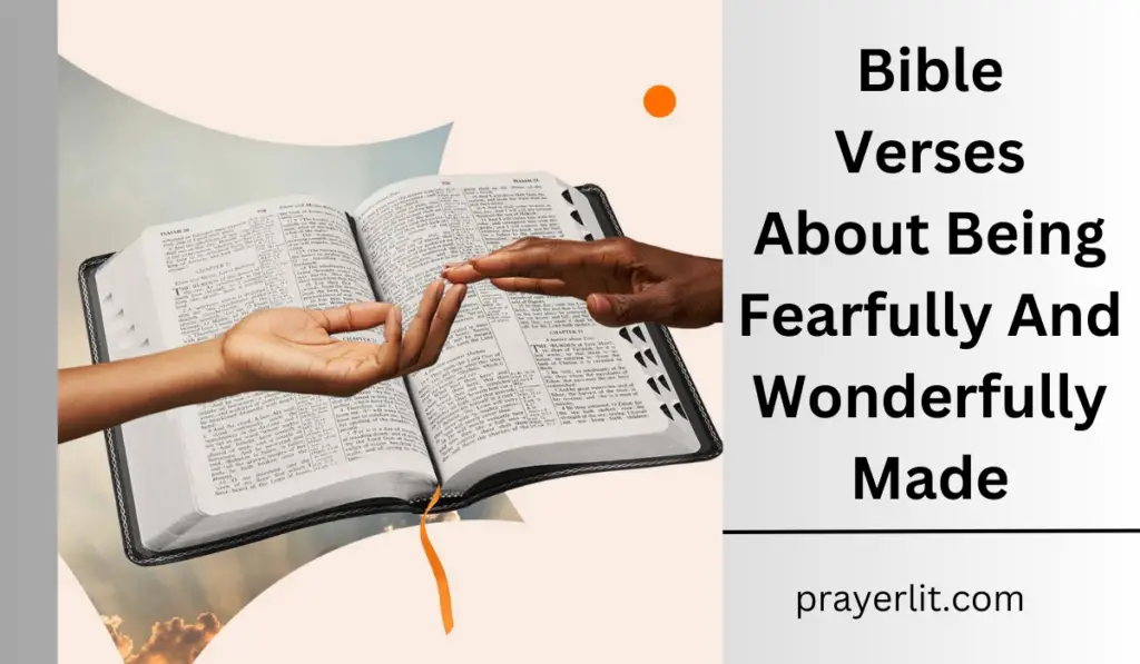 Bible Verses About Being Fearfully And Wonderfully Made