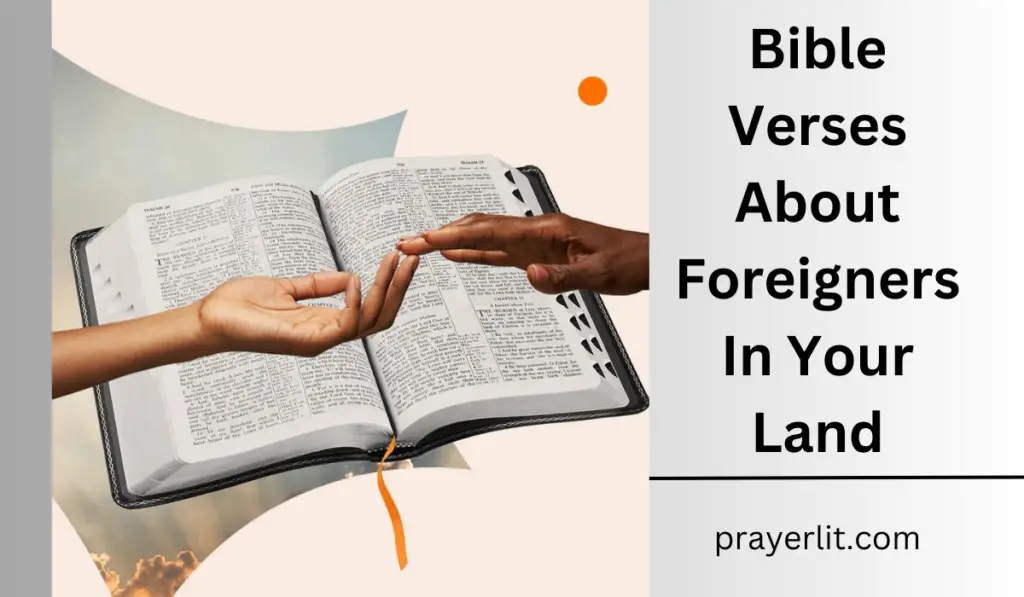 Bible Verses About Foreigners In Your Land