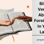 Bible Verses About Foreigners In Your Land