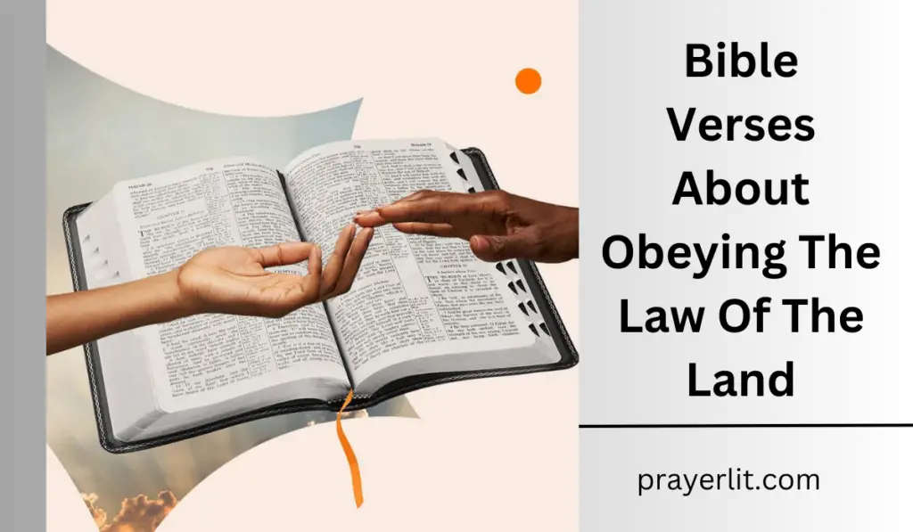 Bible Verses About Obeying The Law Of The Land